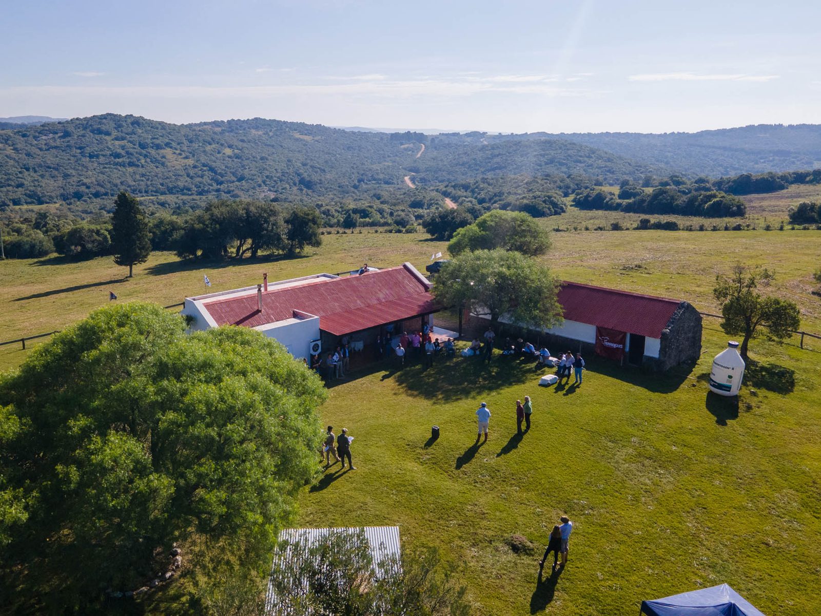 Gira Brangus 2025: genética, campo y camaradería