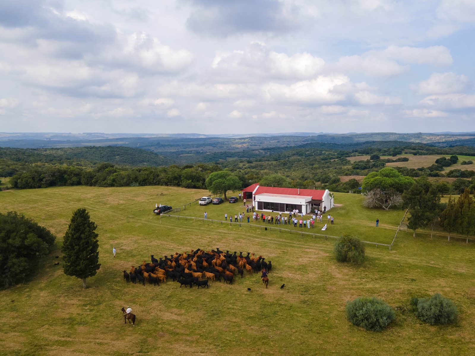 Gira Brangus 2025: genética, campo y camaradería