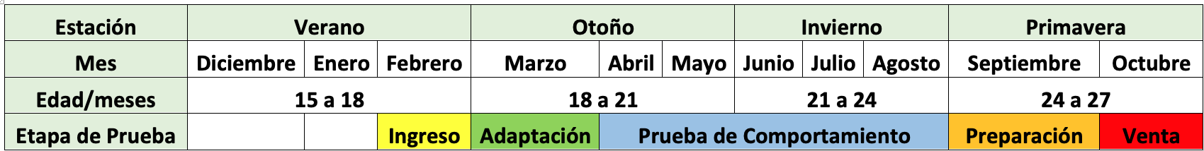 Distribución de los períodos de la prueba a lo largo del año